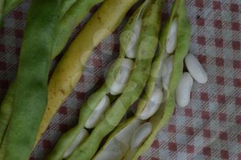 Beans. Phaseolus. Bean Seeds. Legumes. Kitchen. Recipes. Tablecloth. Before cooking. Delicious. Close-up. Horizontal photo