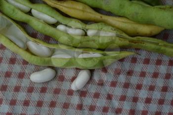 Beans. Phaseolus. Bean Seeds. Legumes. Kitchen. Recipes. Tablecloth. Delicious. It is useful. Close-up. Horizontal