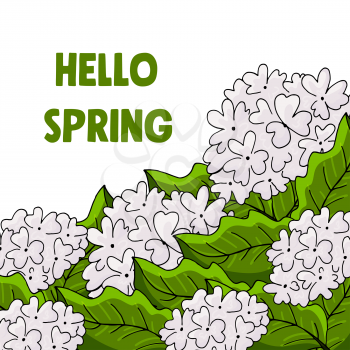 Buldenezh. Monstera. Viburnum flowers Greeting card Hello spring