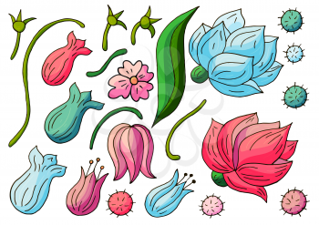 Collection of vector floral elements. Flowers and leaves in hand draw style. Elements for your design. Peonies and tulips