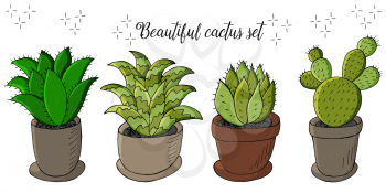 Cute vector illustration. Set of cartoon images of cacti in flower pots. Cacti, aloe, succulents in a creative collection. Print pin, badge, sticker. Decorative natural elements are isolated on white