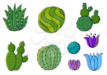 Cute vector illustration. Set of cartoon images of cacti. Cacti, aloe, succulents in a creative collection. Decorative natural elements are isolated on white