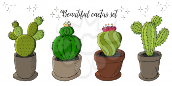 Cute vector illustration. Set of cartoon images of cacti in flower pots. Cacti, aloe, succulents in a creative collection. Print pin, badge. Decorative natural elements are isolated on white