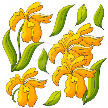 Orchids. Set of orchid. Yellow flowers, individual elements. Cute flowers in hand draw style