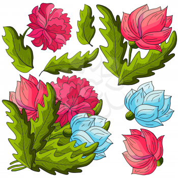 Peonies. Set of bouquets, inflorescences, leaves and flowers as separate elements. Blue and red peonies in hand drawing style. Vector flowers for flyers, invitations