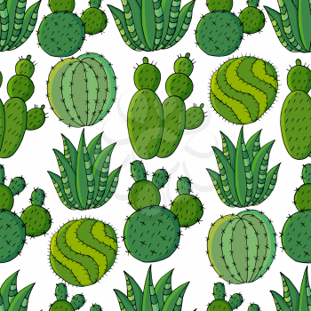 Seamless pattern of different cacti. Cute vector background of exotic plants. Tropical wallpaper in green colors. The trendy image is ideal for design creativity