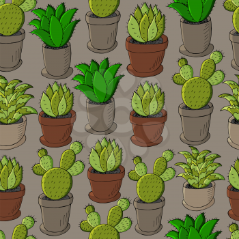 Seamless pattern of different cacti. Cute vector background of flowerpots. Tropical wallpaper in green colors. The trendy image is ideal for design