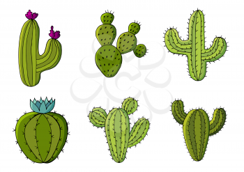 Cute vector illustration. Set of cartoon images of cacti. Cacti, aloe, succulents in a creative collection. Print pin, badge. Decorative natural elements are isolated on white