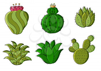 Cute vector illustration. Set of cartoon images of cacti. Cacti, aloe, succulents in a creative collection. Print pin, badge, sticker. Decorative natural elements are isolated on white