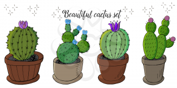 Set of cartoon images of cacti in flower pots. Cacti, aloe, succulents. Collection Decorative natural elements are isolated on white