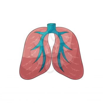 Vector icon in hand draw style. Image isolated on white background. Human organs. Lungs