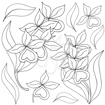 Orchids. Set of orchid inflorescences. Monochrome flowers, elements. Cute flowers in hand draw style