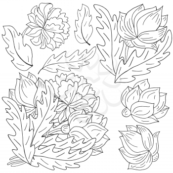 Peonies. Set of bouquets, inflorescences, leaves and flowers as separate elements. Monochrome peonies in hand drawing style. Vector flowers for flyers, invitations