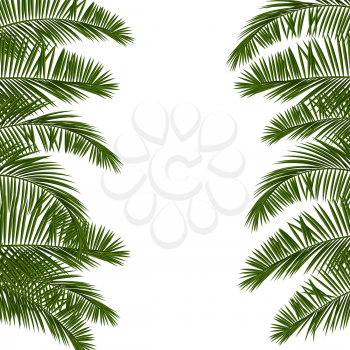 Summer vector abstract illustration. Realistic picture tropical Paradise for travel and ticket sales. Web summer banner. Green palm leaves template isolated on white background. 