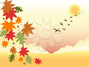 autumn background with falling leaves and flying birds