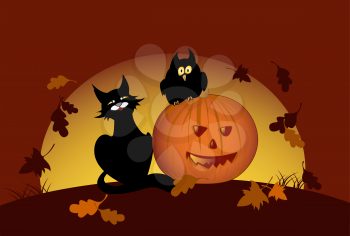 halloween pumpkin, owl and black cat by moon night