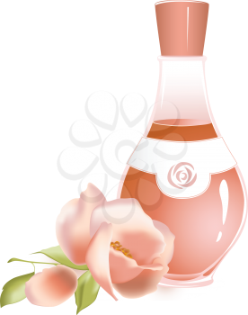 rose oil and flower of rose on a white background