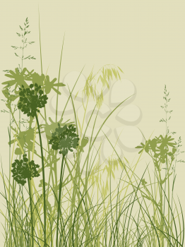background with green grass and flowers