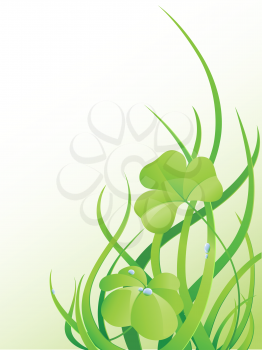 nature background with green grass and leaves of clover