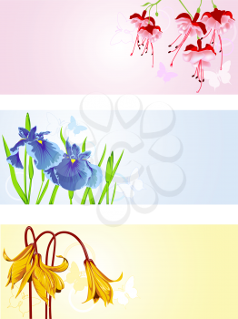 colored vector floral backgrounds