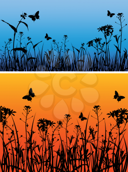 Backgrounds with grass, chamomile flowers  and butterfly