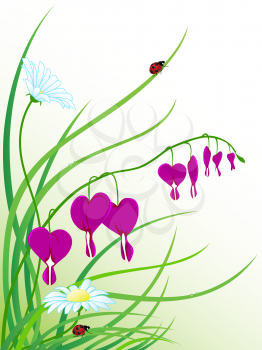 vector floral background with chamomiles and ladybugs