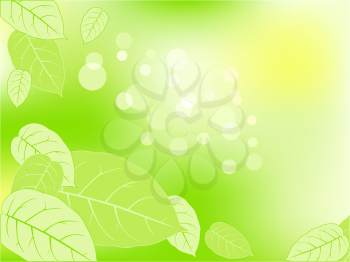 green vector abstraction background with leaves and sunshine