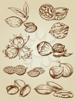 set of vector various nuts in retro style