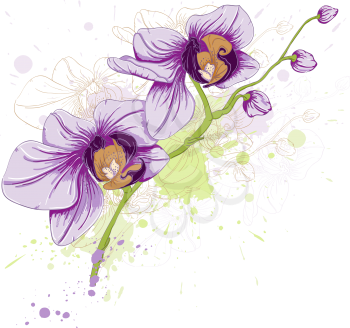 hand drawn vector floral background with orchid and blots