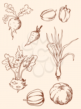 set of vector hand drawn vegetables in retro style