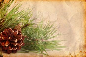 vintage Christmas background with pine branch