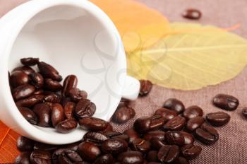 White coffee cup, yellow autumn leaves and coffee beans 