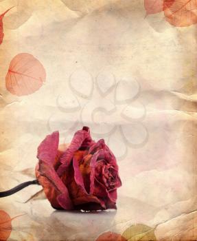 Vintage background with dried red rose and leaves