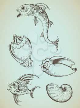 vintage hand drawn vector fish and marine shells