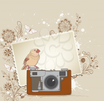Vector background with old camera and bird