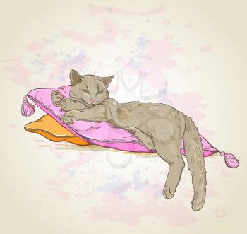 Vector background with cat on pillow
