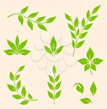 Set of vector green leaves and branches