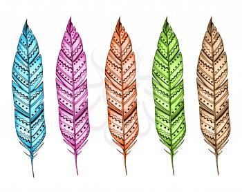 Set of decorative hand drawn bright feathers