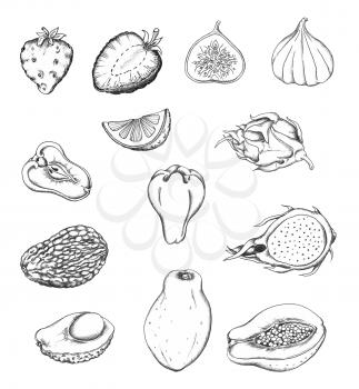 Set of hand drawn tropical fruits. Black and white pencil sketch.