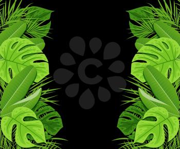 Green tropical leaves on a black background. Vector summer background with tropical plants.