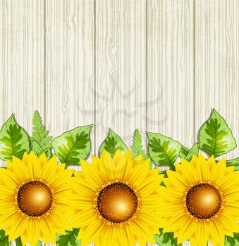 Summer background with green leaves and sunflowers. Vector illustration.