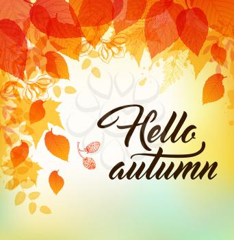 Vector autumn background with orange and yellow falling leaves. Hello autumn lettering.
