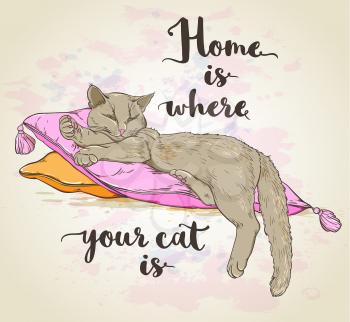 Vector background with cat on pillow and lettering.