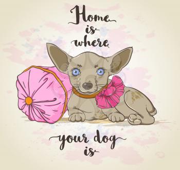 Vector background with small dog on a pillow and lettering.