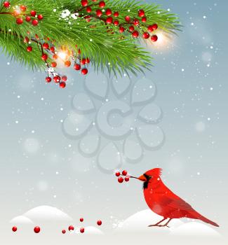 Winter landscape with cardinal bird in snow, green fir branches and red berries. Christmas background.