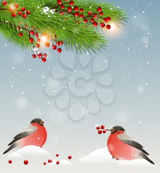 Winter landscape with two bullfinches in snow, green fir branches and red berries. Christmas background.