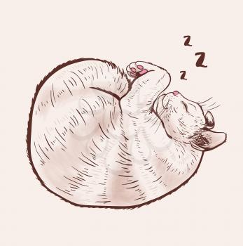 Cute sleeping cat. Hand drawn vector illustration.