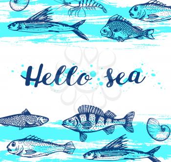 Blue marine vector vintage background with shrimp and fish. Hello sea lettering.