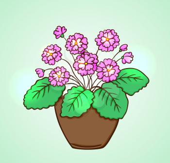 Blooming pink flowers in a flowerpot on a green background. Hand drawn vector illustration.