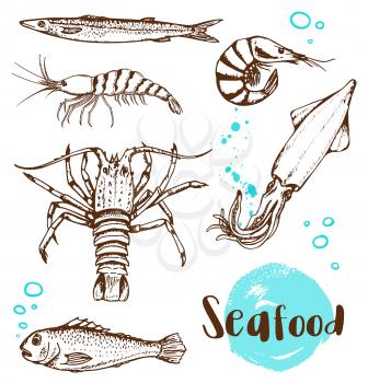Set of vector vintage hand drawn fish, squid and shrimp on a white background.